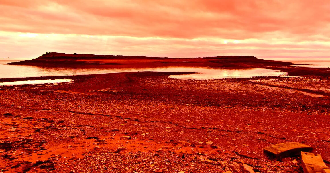 ChatGPT'den aldıkları cevap hayatlarına mal oluyordu!