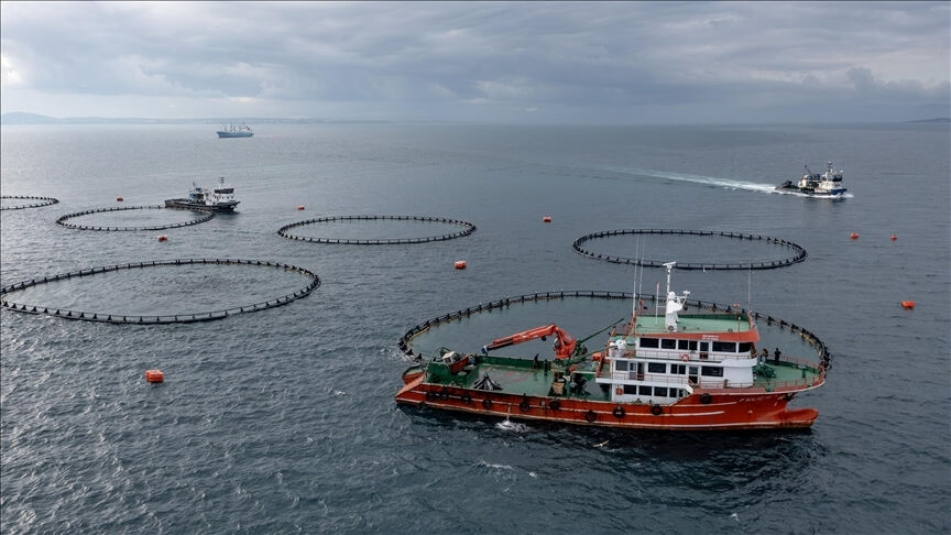 Karadeniz'den 279 milyon dolarlık su ürünleri ihracı! En çok talep Rusya'dan - 1. Resim