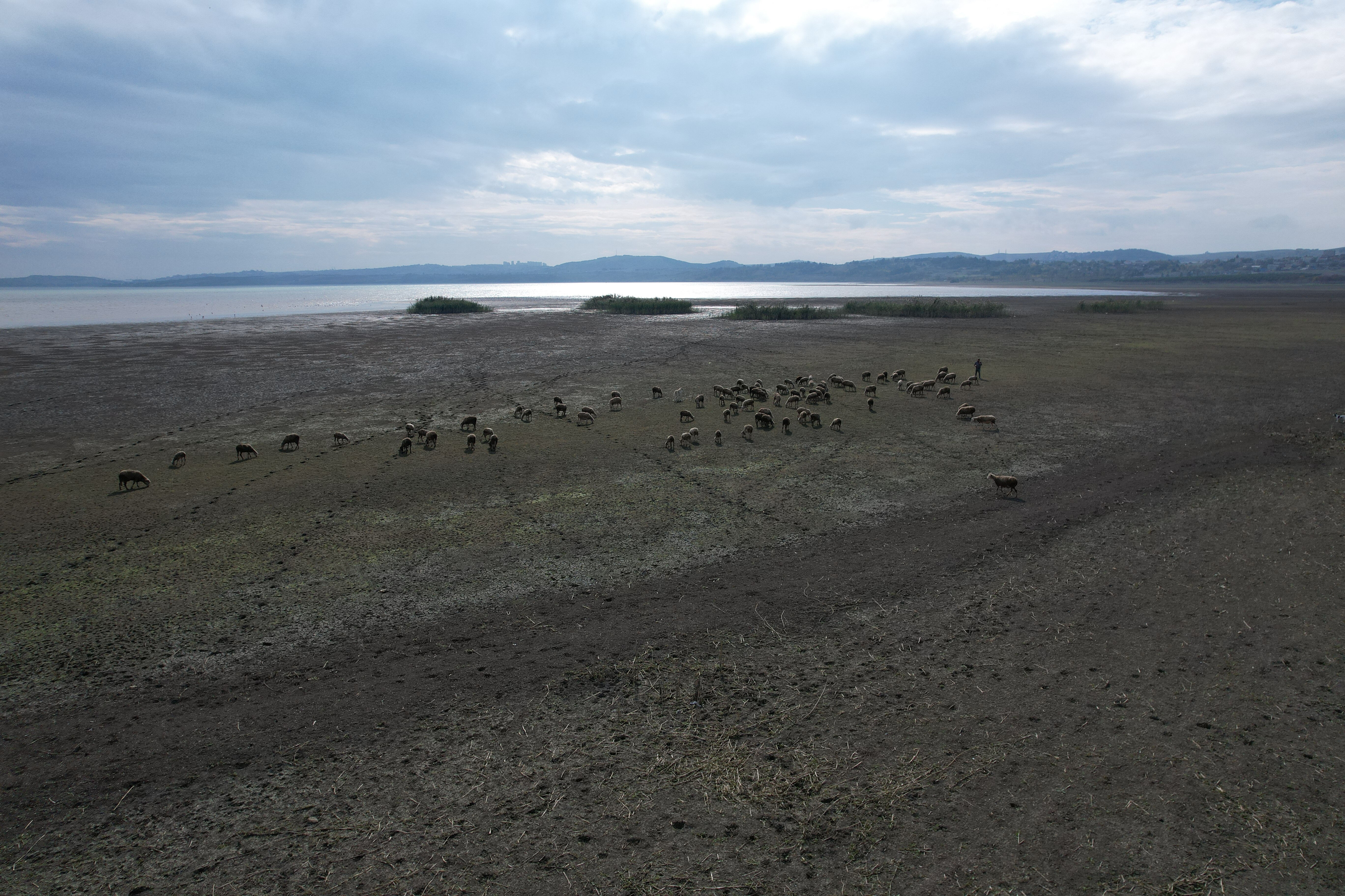 Büyükçekmece Gölü için çanlar çalıyor! Kuraklık başladı, su seviyesi diplerde - 2. Resim
