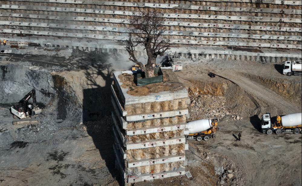 İstanbul'da merak uyandıran görüntü! Milyarlık projede ağaç katliamından tek o kurtuldu - 3. Resim