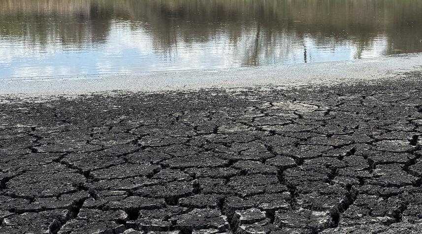 Marmara'da yağışlar yüzde 65 azaldı, su krizi kapıda! 'Önce toprak suya doyacak, sonra barajlar' - 1. Resim