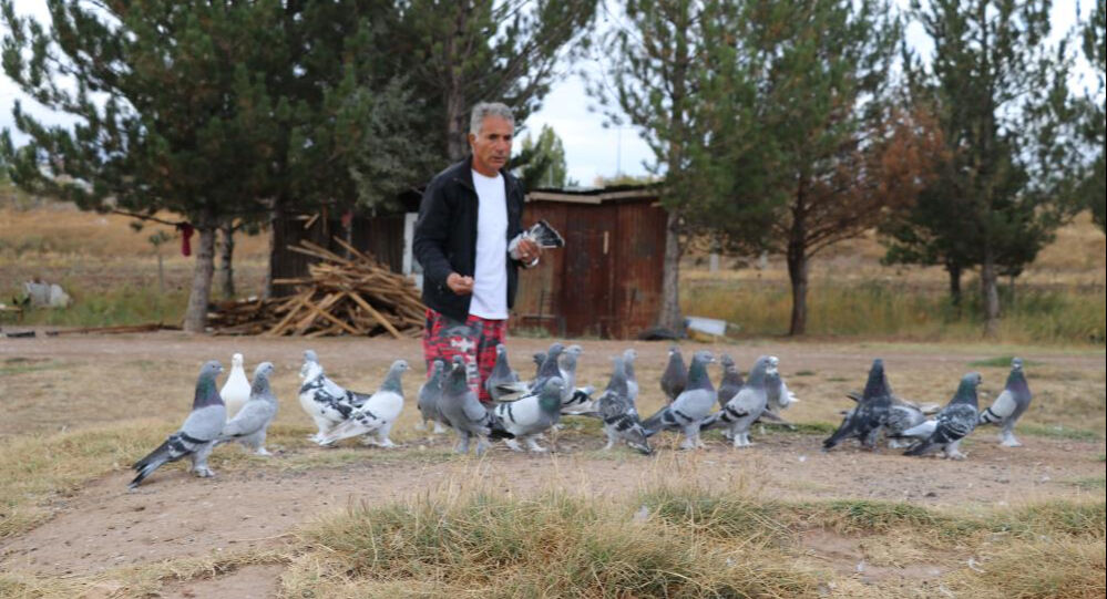 Sadece Sivas'a özgü: Yurt dışından bile talep yağıyor, değeri yarım milyondan fazla! - 2. Resim