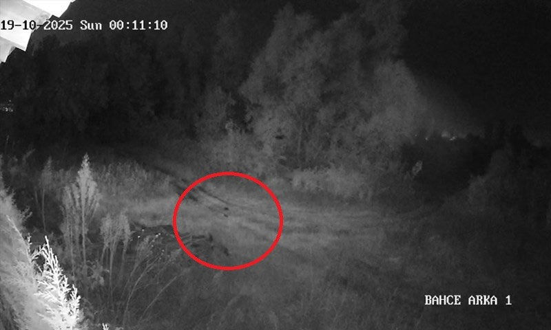 Samsun’da kayıp genç korku salıyor… Tüm mahalleyi ayağa kaldırdı: Herkes bu kişiyi bulsun - 2. Resim