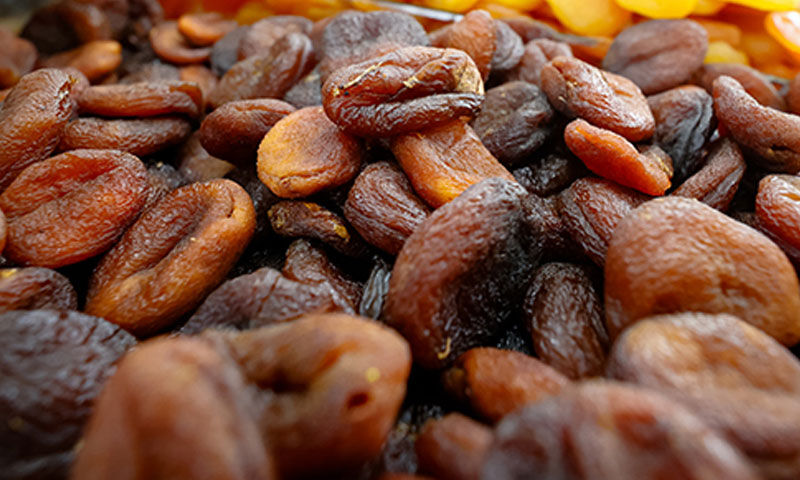 Şimdi hasat zamanı! 20 bin ailenin geçim kaynağı oldu… Duyan Malatya’ya akın ediyor Şimdi hasat zamanı! 20 bin ailenin geçim kaynağı oldu… Duyan Malatya’ya akın ediyor - 1. Resim