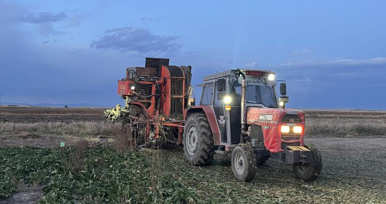 Soğuk gelmeden hasat yarışı! Karslı çiftçiler tarlada gece gündüz mesai yapıyor - 2. Resim