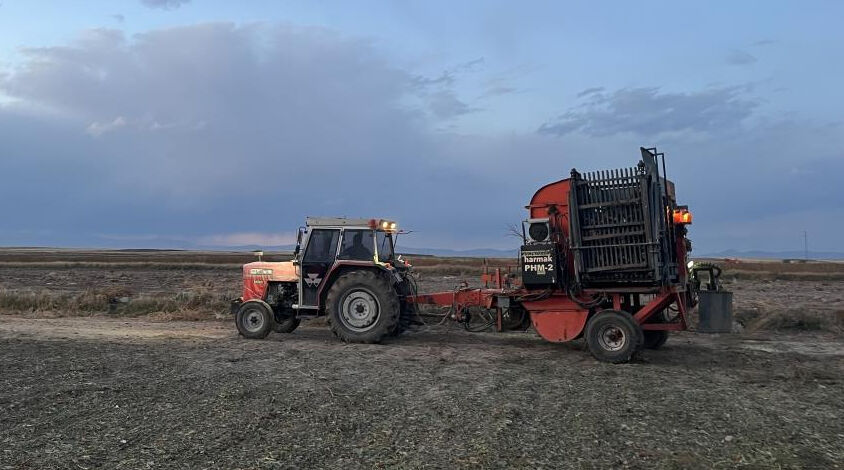 Soğuk gelmeden hasat yarışı! Karslı çiftçiler tarlada gece gündüz mesai yapıyor - 1. Resim