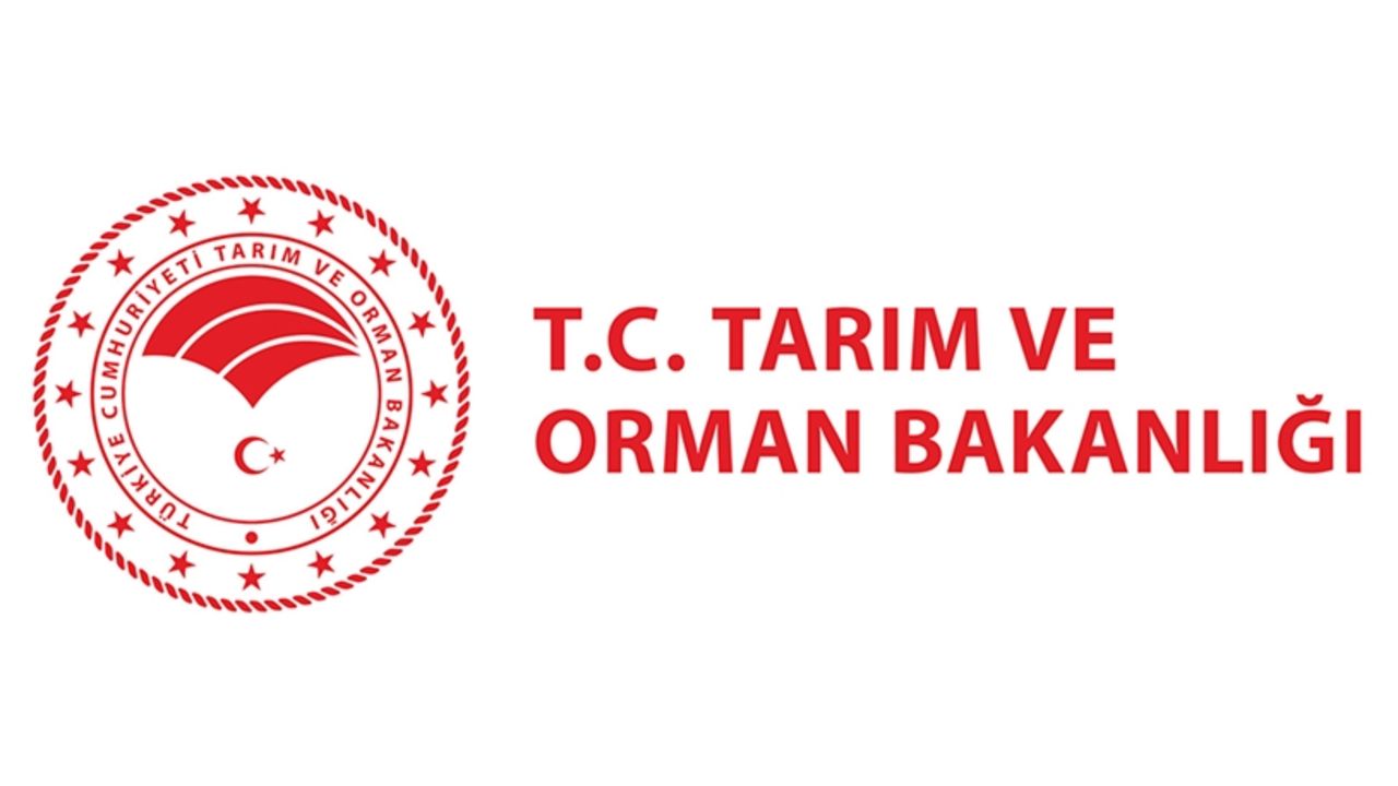 Orman Bakanlığı 15 müfettiş yardımcısı alımı yapacak! Başvuru nasıl yapılır, şartlar neler?