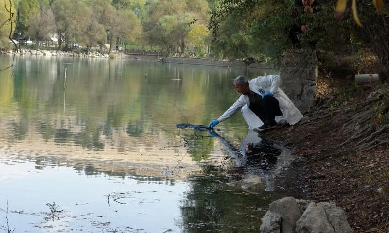 Piknik alanında feci olay: Öğrenciler kadın cesedi buldu Piknik alanında feci olay: Öğrenciler kadın cesedi buldu - 1. Resim