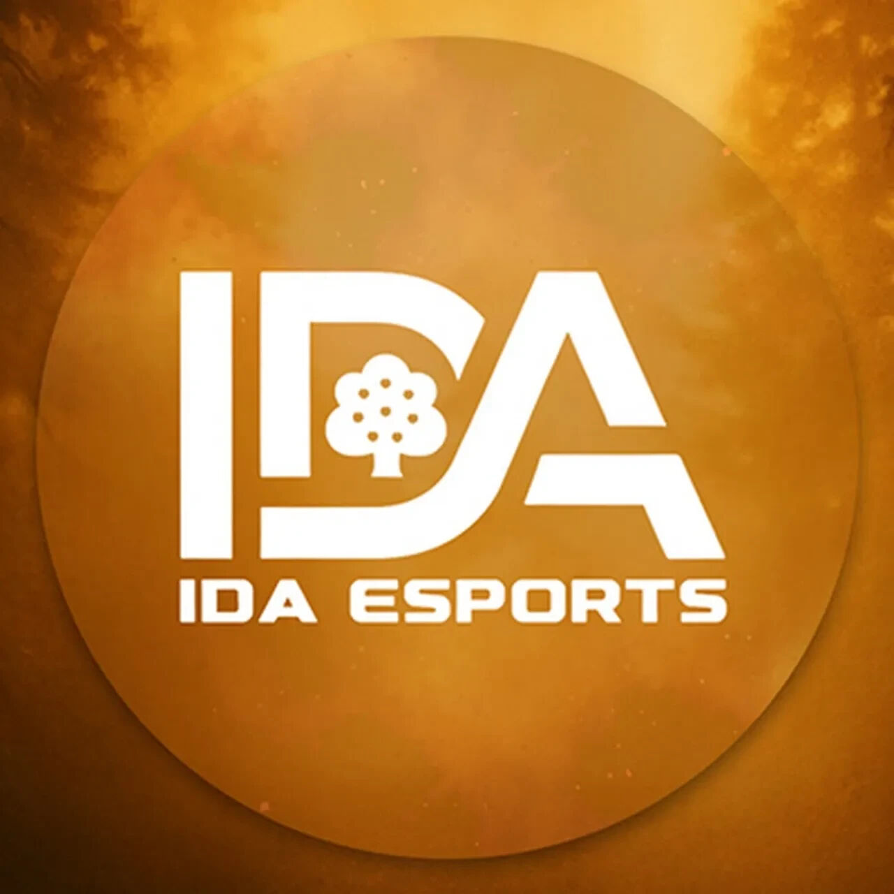 PUBG Mobile Avrupa Süper Ligi sonbahar finalleri İstanbul'da başladı! IDA E-Sports, bayrağımızı uluslararası arenada temsil ediyor - 2. Resim