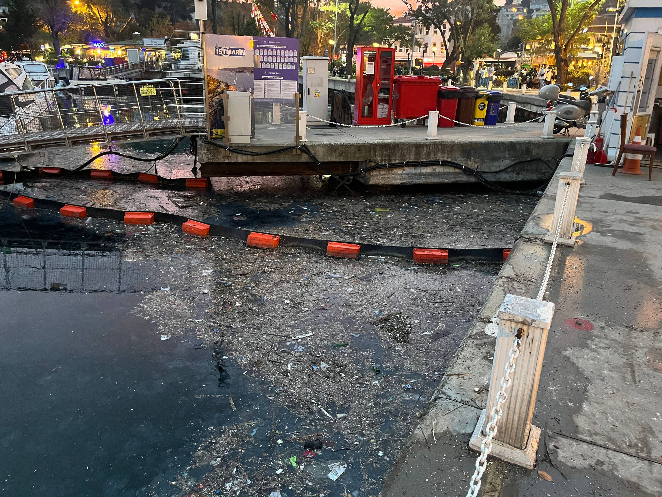 Boğazın gözde ilçelerinden Sarıyer'de içler acısı manzara! Kıyıya vuranlar 'pes' dedirtti Boğazın gözde ilçelerinden Sarıyer'de içler acısı manzara! Kıyıya vuranlar 'pes' dedirtti - 1. Resim