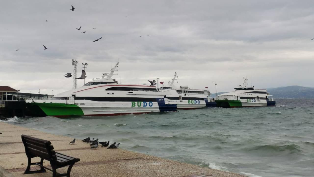 Yaşam