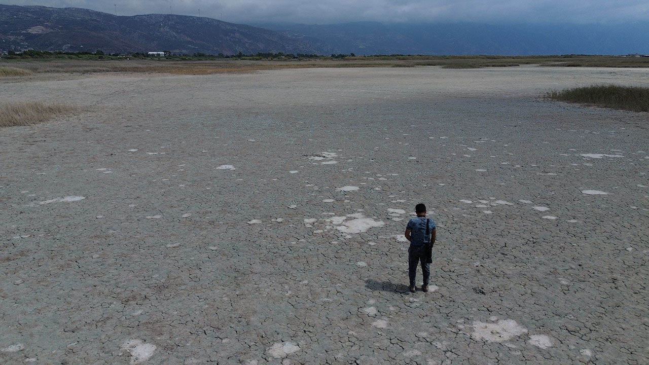 Flamingo, kılkuyruk, çıkrıkçın, kaşı gaga, yeşilbaş! Çöle dönen Milleyha'da kuş sesleri yankılanmaya başladı Flamingo, kılkuyruk, çıkrıkçın, kaşı gaga, yeşilbaş! Çöle dönen Milleyha'da kuş sesleri yankılanmaya başladı - 2. Resim