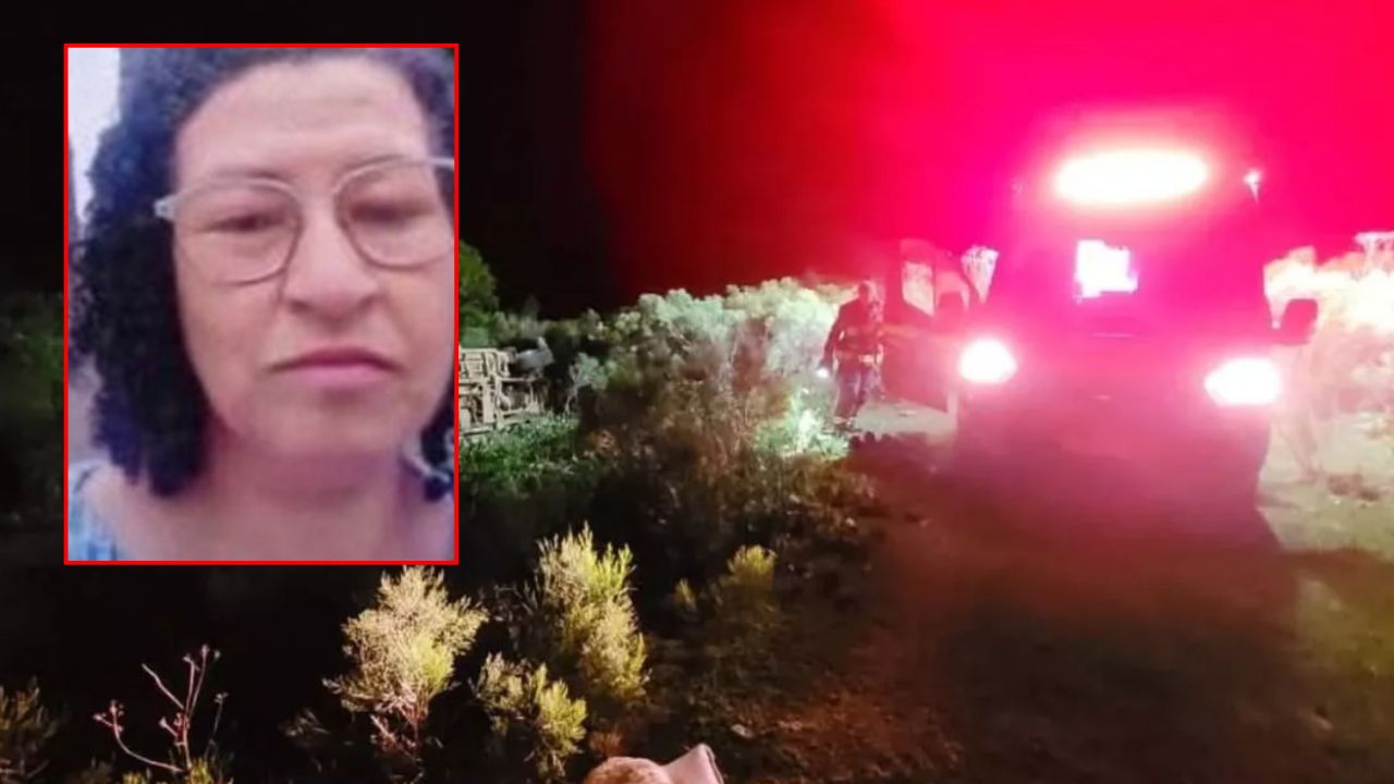 Aracıyla arı kovanlarına daldı! Yardıma gelen babası da kurtarılamadı Aracıyla arı kovanlarına daldı! Yardıma gelen babası da kurtarılamadı