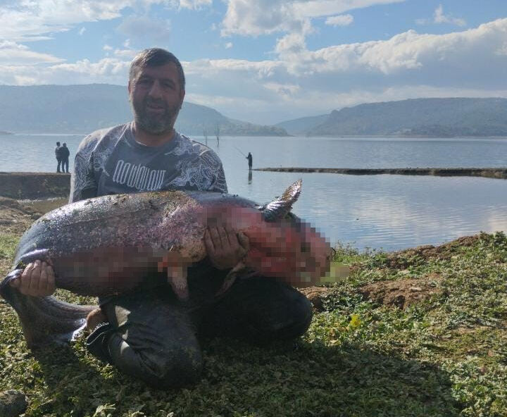 Bursa'da amatör balıkçılara gün doğdu: Boğazköy Barajı kuruyunca dev balık avına çıktılar! Bursa'da amatör balıkçılara gün doğdu: Boğazköy Barajı kuruyunca dev balık avına çıktılar! - 1. Resim