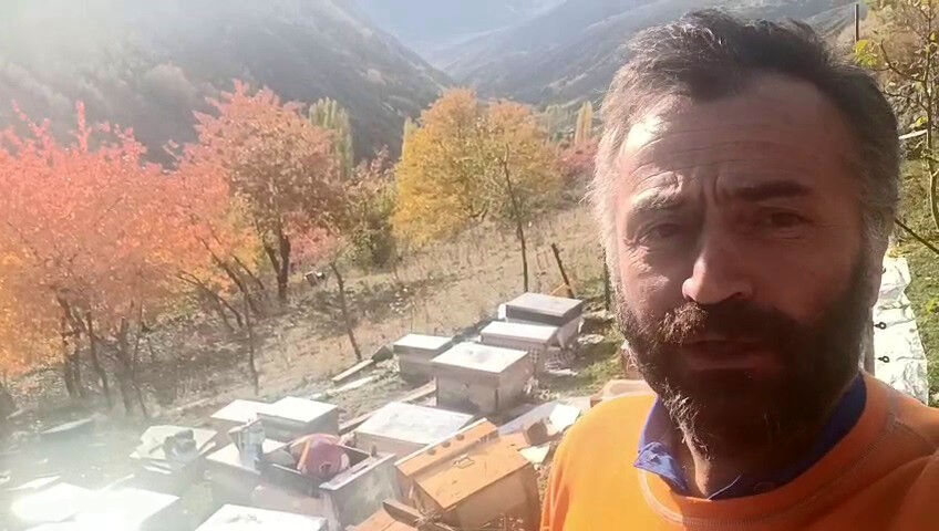 Erzurum'da iki ayı, köyü talan etti! Her yere saldırıp parçaladı: Vatandaşlar canından bezdi Erzurum'da iki ayı, köyü talan etti! Her yere saldırıp parçalıyorlar: Vatandaşlar canından bezdi - 2. Resim