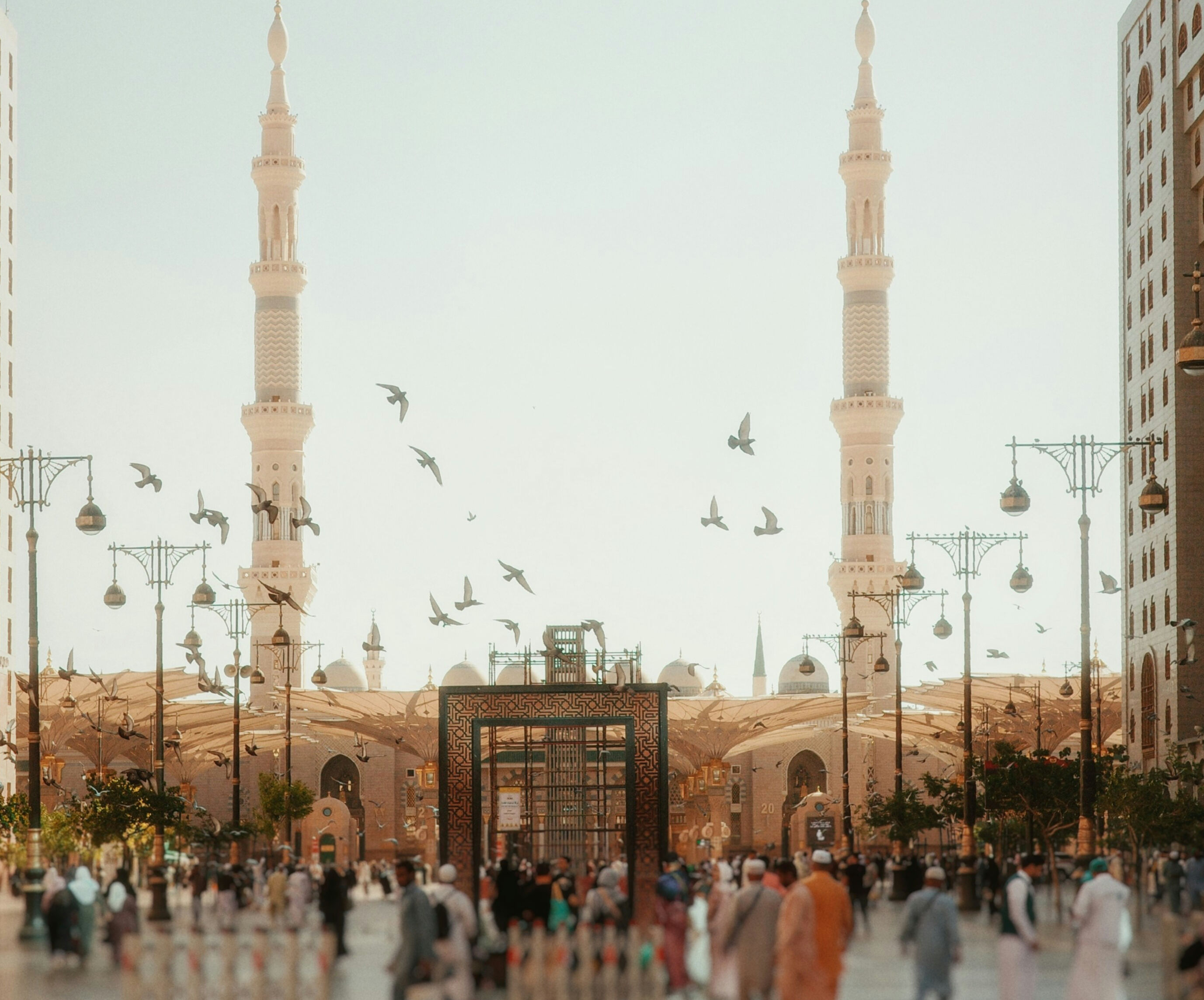 Helal turizmde 5 milyon dolarlık yeni yatırım rüzgârı Helal turizmde 5 milyon dolarlık yeni yatırım rüzgârı - 6. Resim
