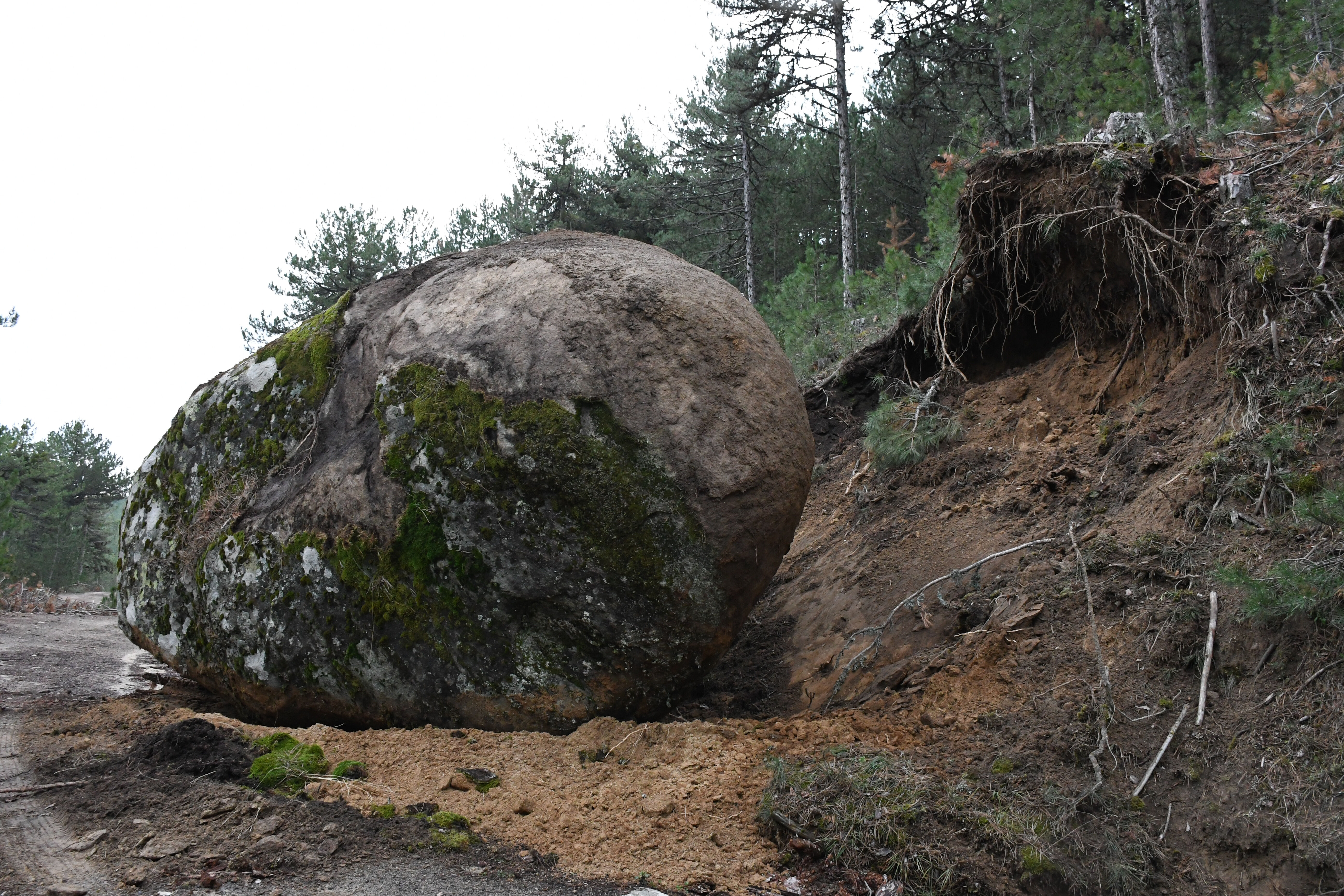 6.1'lik depremin ardından dev kaya yerinden koptu! Kütahya'da orman yolu kapandı 6.1'lik depremin ardından dev kaya yerinden koptu! Kütahya'da orman yolu kapandı - 1. Resim