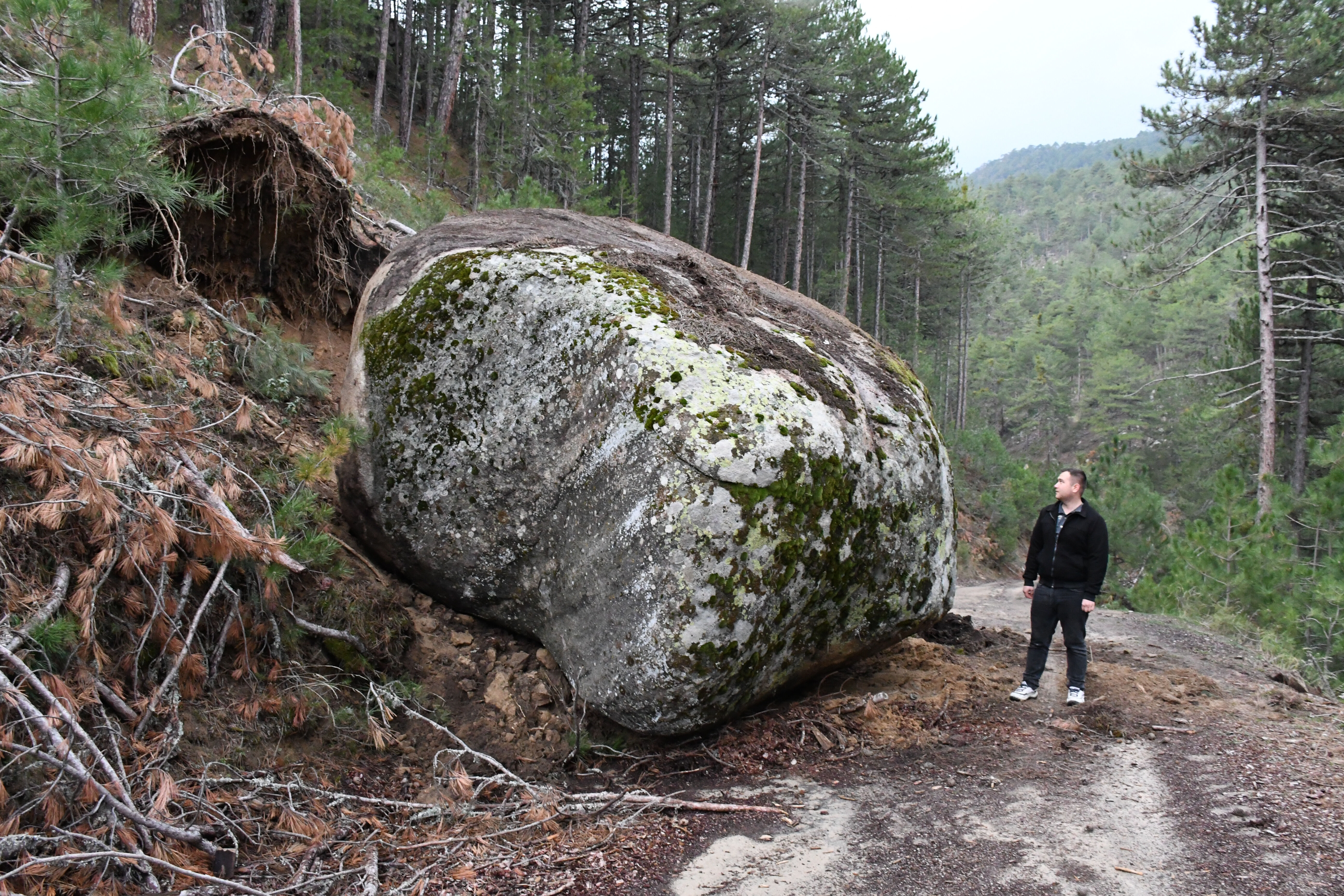 6.1'lik depremin ardından dev kaya yerinden koptu! Kütahya'da orman yolu kapandı 6.1'lik depremin ardından dev kaya yerinden koptu! Kütahya'da orman yolu kapandı - 2. Resim