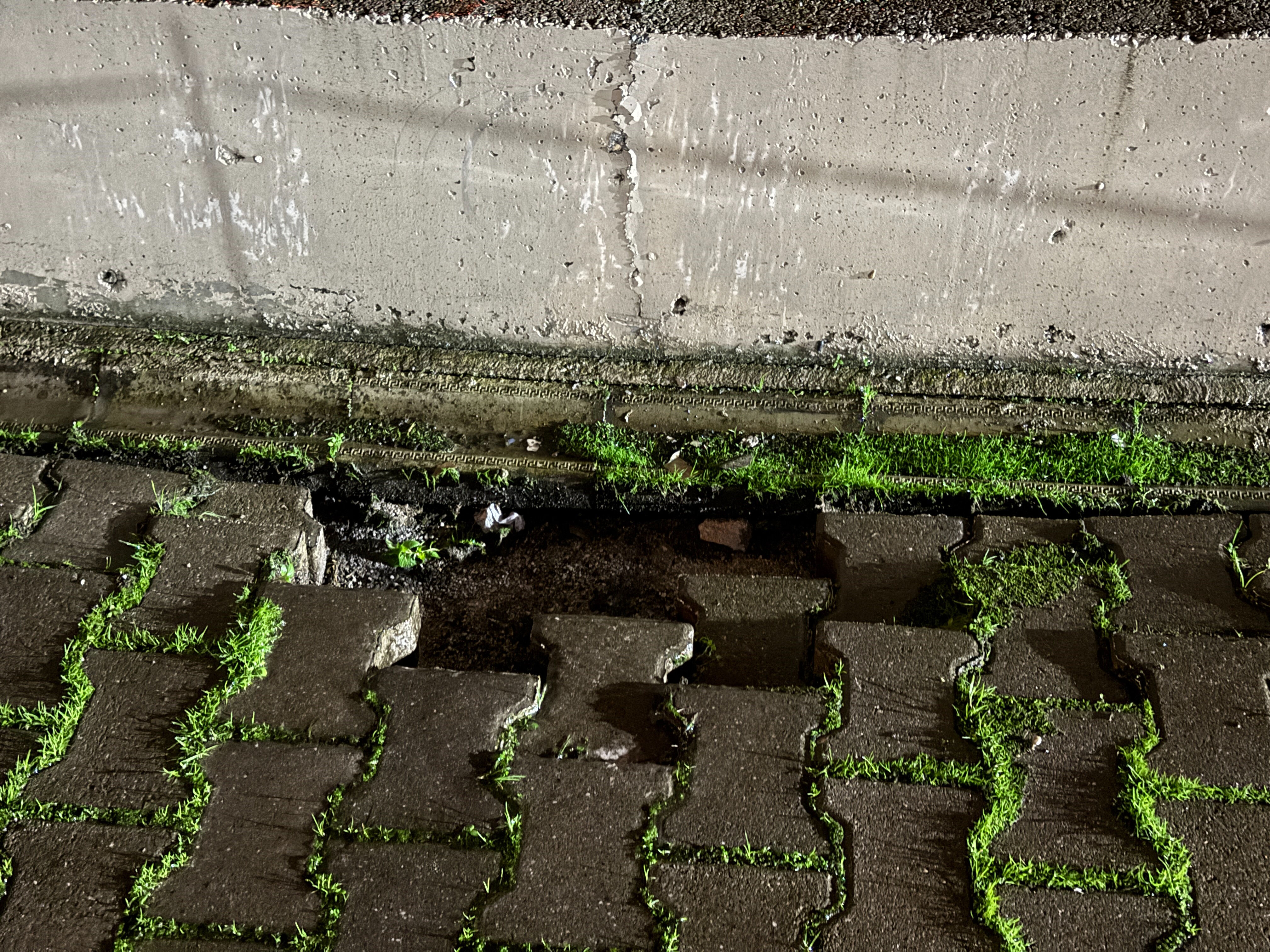 Balıkesir sallandı, Sakarya ayağa kalktı! Sokak trafiğe kapatıldı, mahalleli isyan etti Balıkesir sallandı, Sakarya ayağa kalktı! Sokak trafiğe kapatıldı, mahalleli isyan etti - 4. Resim