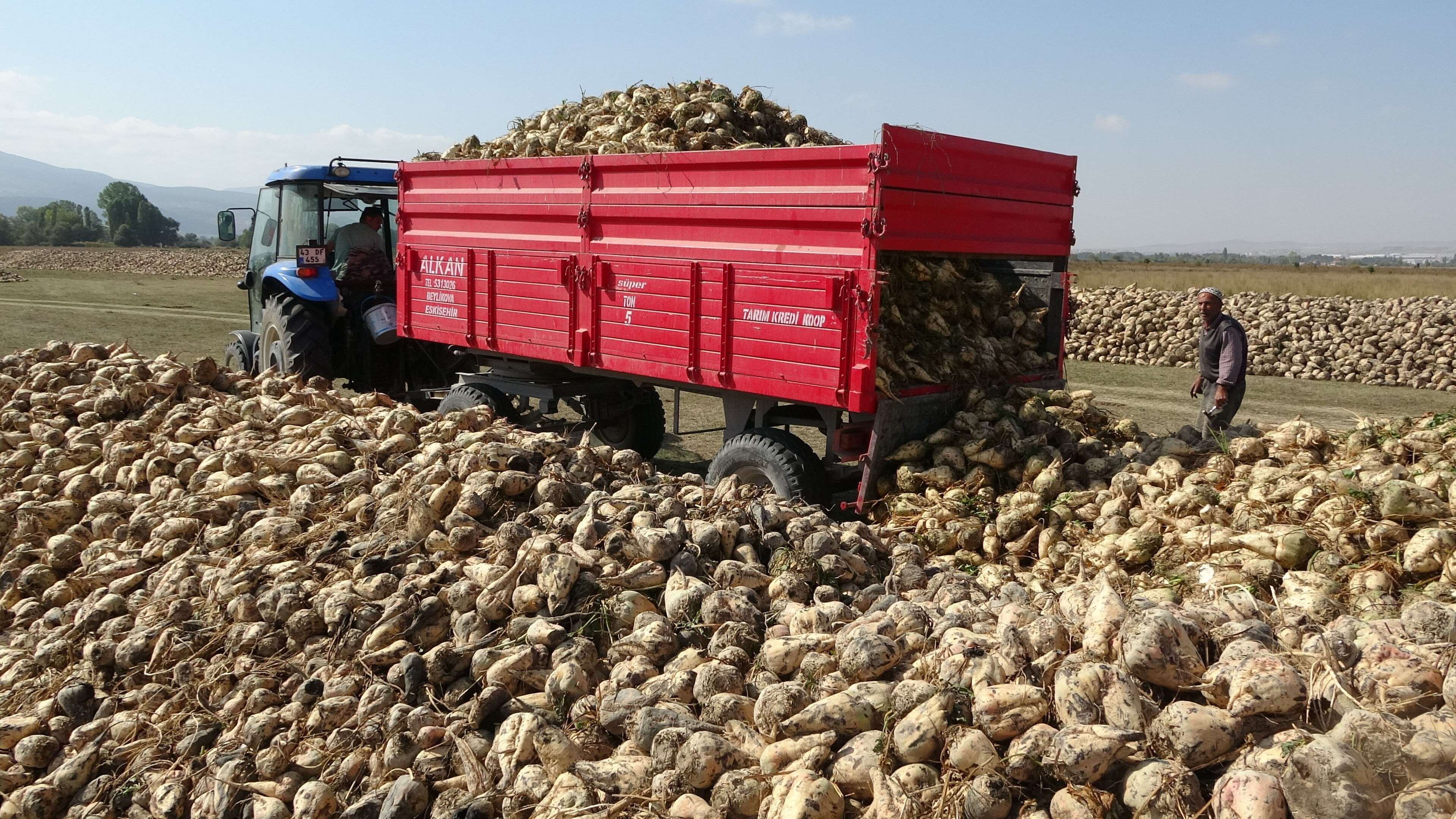 Kütahya'da hasat başladı! Tonu 2 bin 100 TL Kütahya'da hasat başladı! Tonu 2 bin 100 TL - 2. Resim