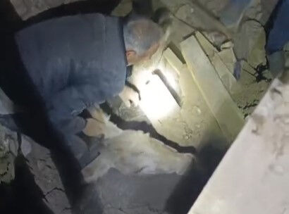 Balıkesir Sındırgı depreminde eşek enkaz altında kaldı! Mahalleli kurtarmak için mahalle seferber oldu! Sındırgı'da enkaz altında kalan eşek için mahalle seferber oldu! - 3. Resim