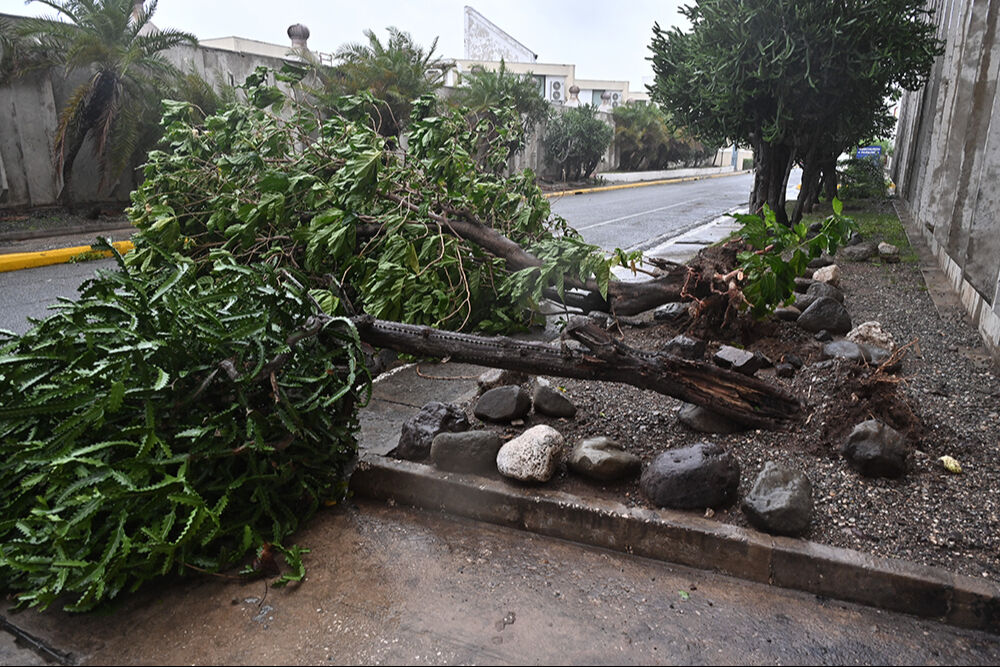 Melissa Kasırgası, Karayipler'i vurdu! Çok sayıda ölü ve yaralı var Melissa Kasırgası, Karayipler'i vurdu! Çok sayıda ölü ve yaralı var - 1. Resim