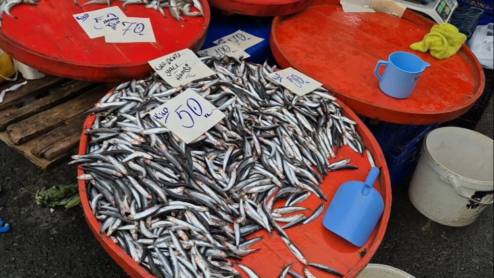 Tekirdağlılar hamsiye doyacak! Sigaradan ucuza satılıyor, fiyatı düşüyor da düşüyor Tekirdağlılar hamsiye doyacak! Sigaradan ucuza satılıyor, fiyatı düşüyor da düşüyor - 1. Resim