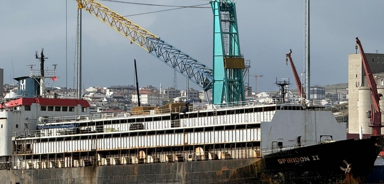 Bandırma Limanı'nda 'yüzen ahır' krizi! 'Spiridon-II' gemisi günlerdir tahliye edilemiyor! Bandırma Limanı'nda 'yüzen ahır' krizi!
