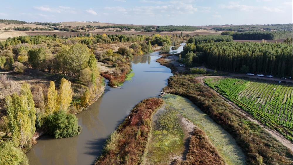 Dicle Nehri ile ilgili şaşırtan gerçek! 100 kilometrelik kısmı "nehir" statüsünde değil Dicle Nehri ile ilgili şaşırtan gerçek! 100 kilometrelik kısmı "nehir" statüsünde değil - 3. Resim