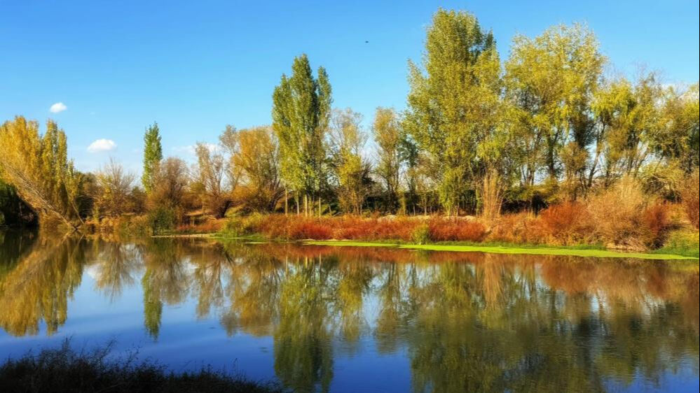 Dicle Nehri ile ilgili şaşırtan gerçek! 100 kilometrelik kısmı "nehir" statüsünde değil Dicle Nehri ile ilgili şaşırtan gerçek! 100 kilometrelik kısmı "nehir" statüsünde değil - 1. Resim