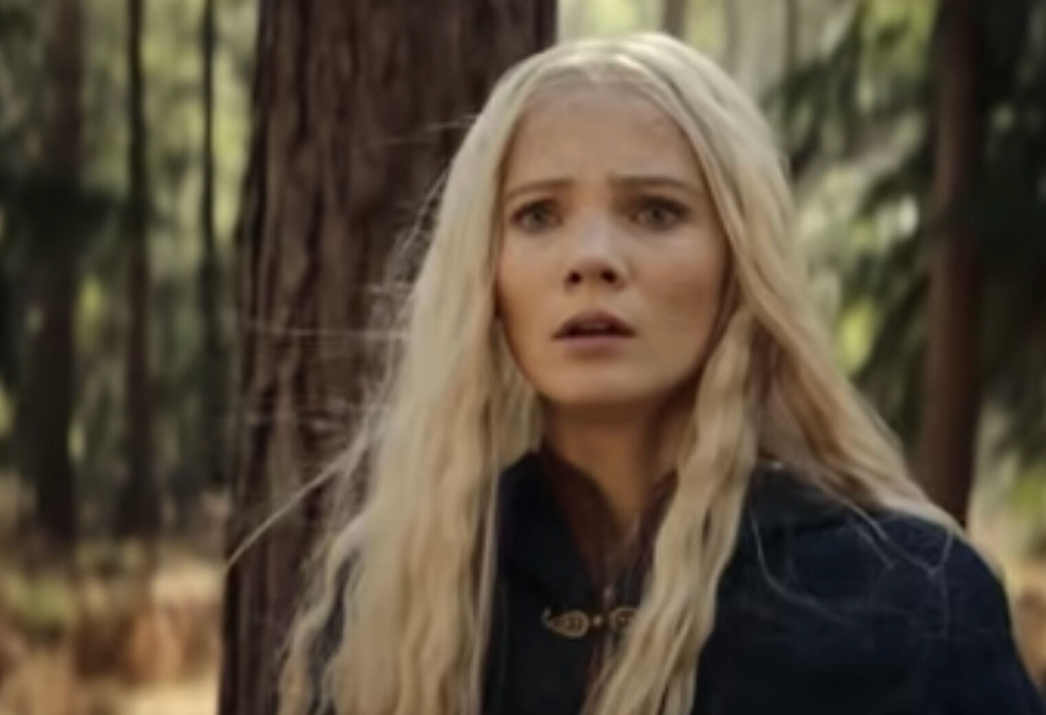 The Witcher 4. sezon 9. bölüm yayınlanacak mı, ne zaman? The Witcher 4. sezon 9. bölüm yayınlanacak mı, ne zaman? - 2. Resim