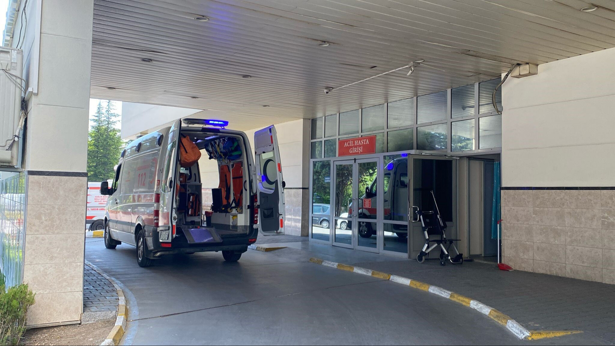 Türkiye'de yeniden görüldü! Bolu'da 'deli dana' vakası ortaya çıktı! - 2. Resim