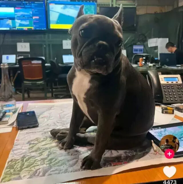 Ukraynalı komutandan ülkeyi ayağa kaldıran paylaşım! Askeri haritaları böyle sergiledi - 1. Resim