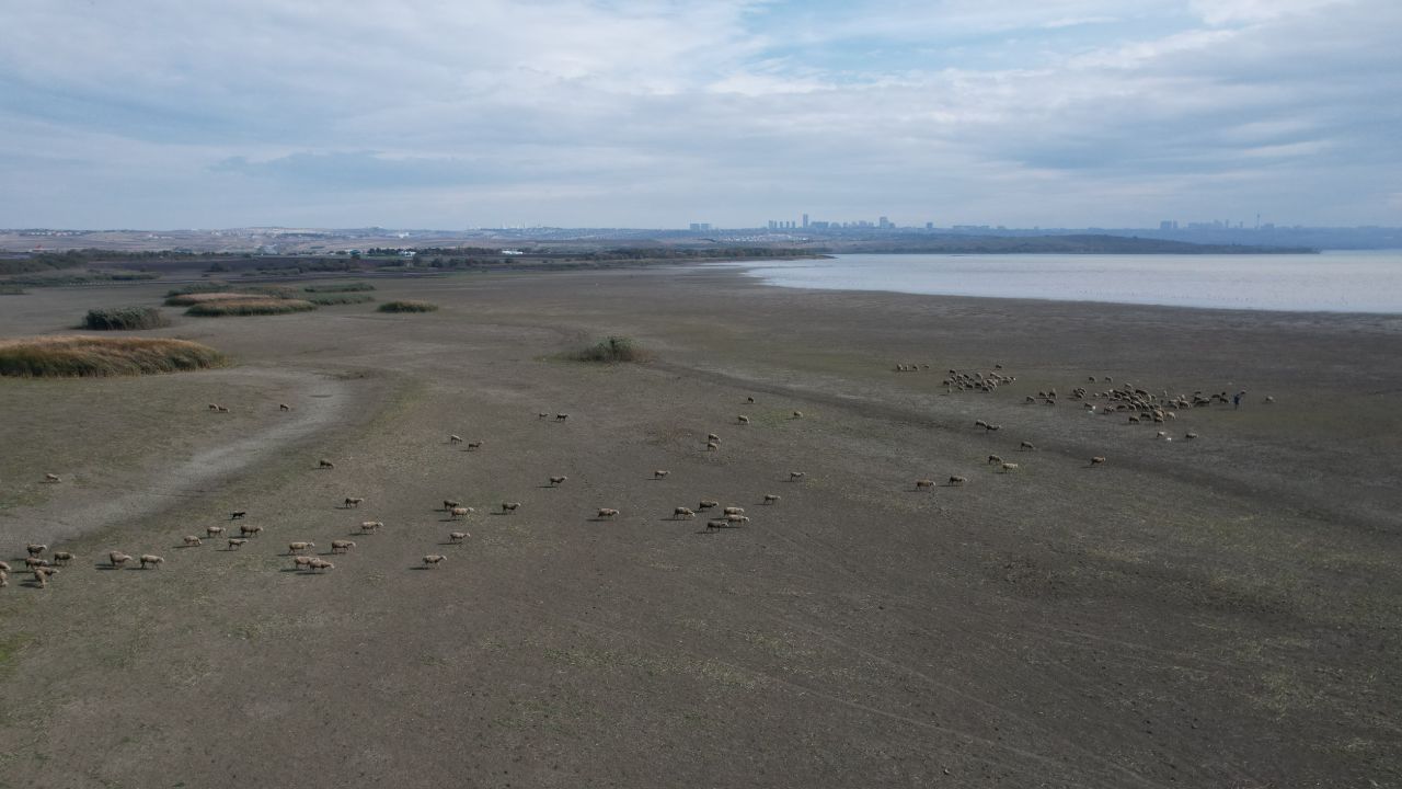  - İstanbul'un barajları kuraklıkla savaşıyor! İşte doluluk oranı