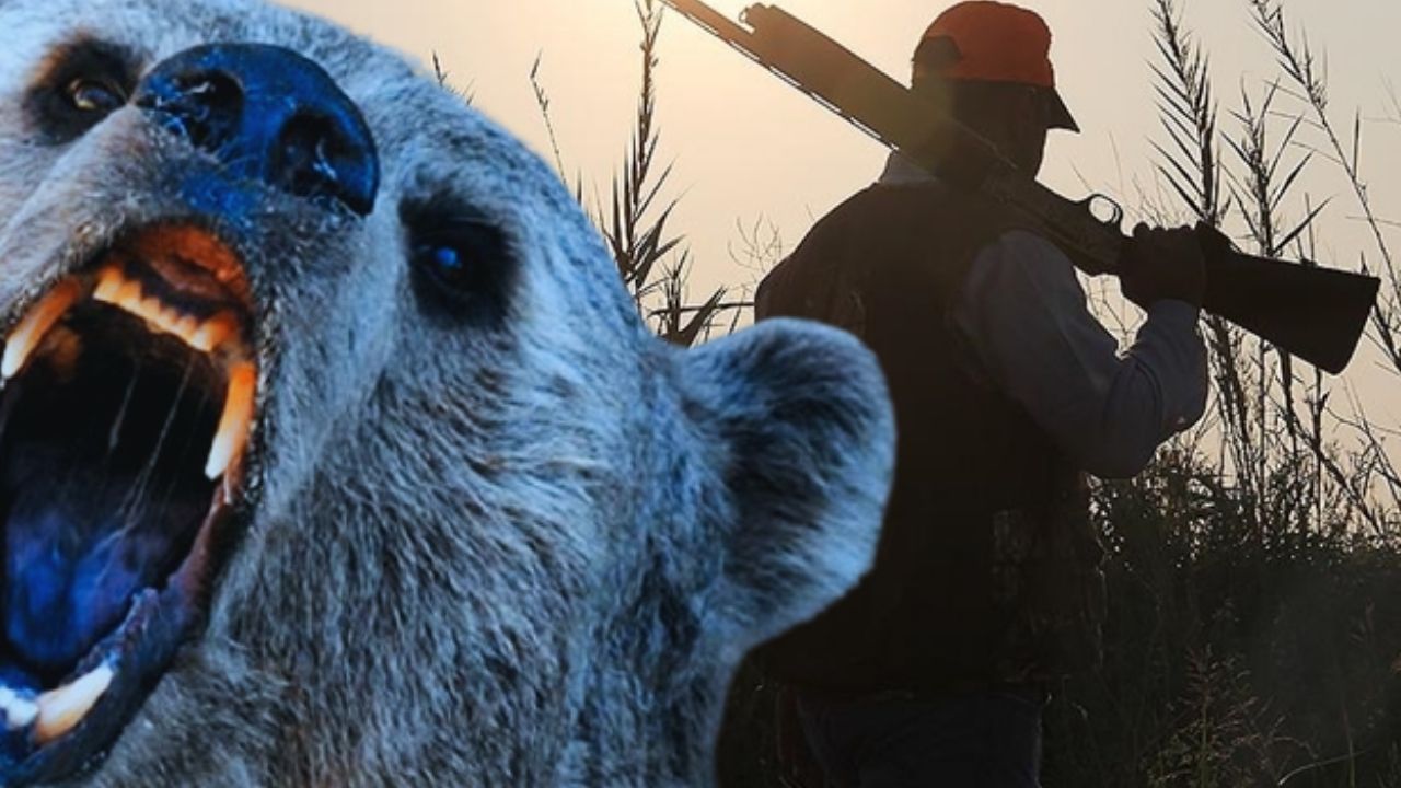 Japonya'da ayı saldırıları rekor seviyede! Ülke alarma geçti: kiralık avcı aranıyor Japonya'da ayı saldırıları rekor seviyede! Ülke alarma geçti: kiralık avcı aranıyor