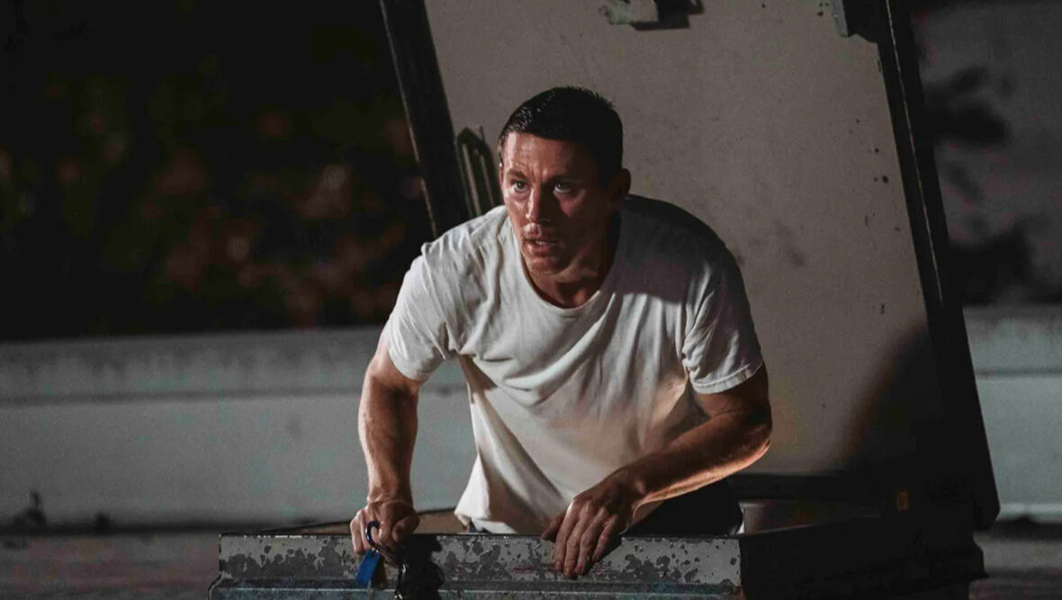 Sinemada bu hafta | 'Bugonia' dünyamız kadar tuhaf! Sinemada bu hafta | 'Bugonia' dünyamız kadar tuhaf! - 2. Resim