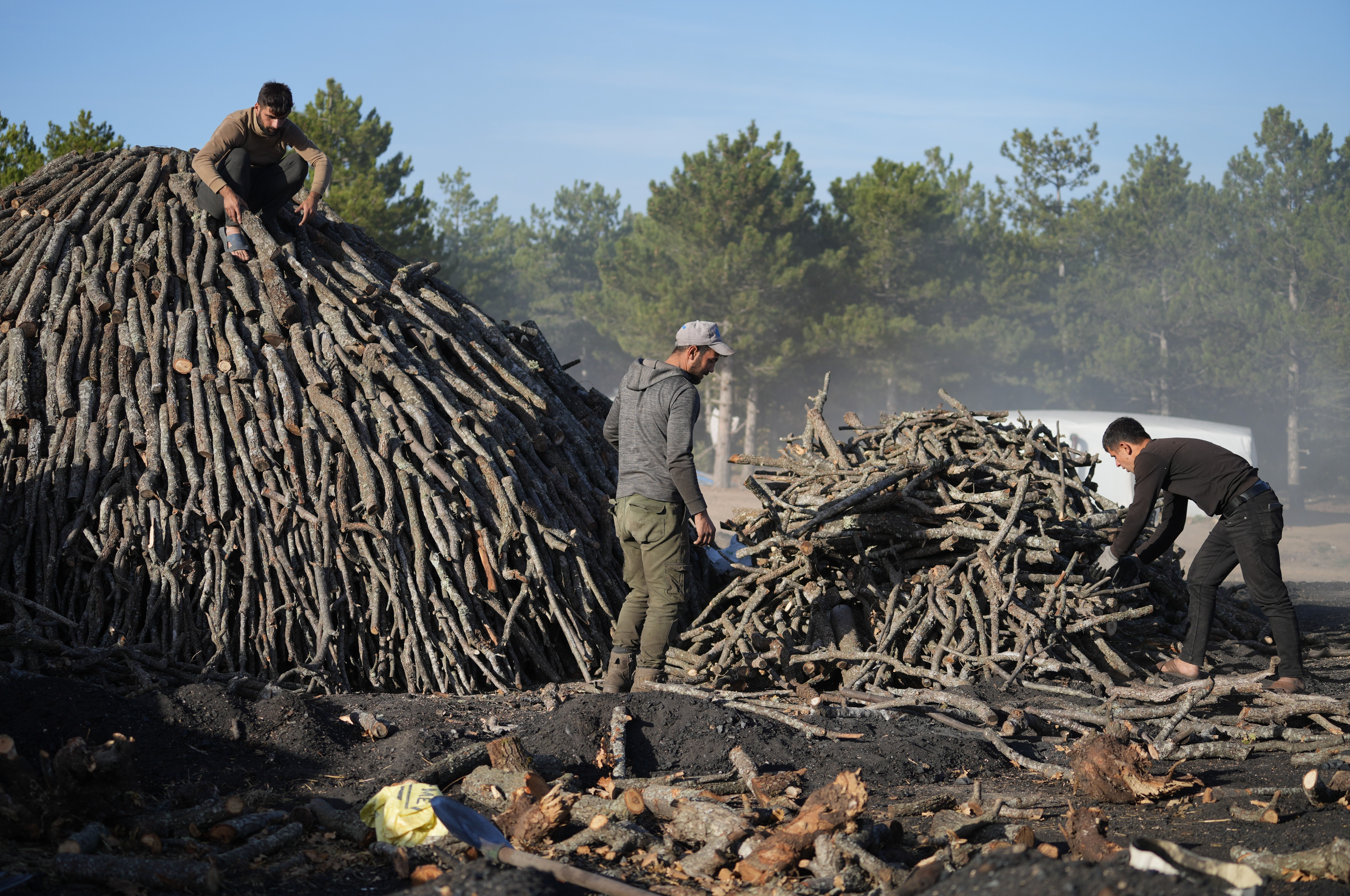 Torlukçuların dumanlı mesaisi: Tonunu 28 bin liradan satıp, sezonda milyon kazanıyorlar Torlukçuların dumanlı mesaisi: Tonunu 28 bin liradan satıp, sezonda milyon kazanıyorlar - 4. Resim