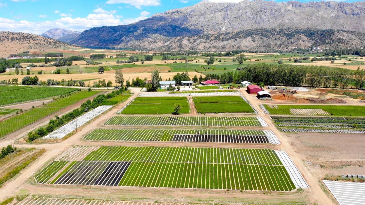 450 bin hektarda toplulaştırma! Tarım arazileri korunuyor 450 bin hektarda toplulaştırma! Tarım arazileri korunuyor