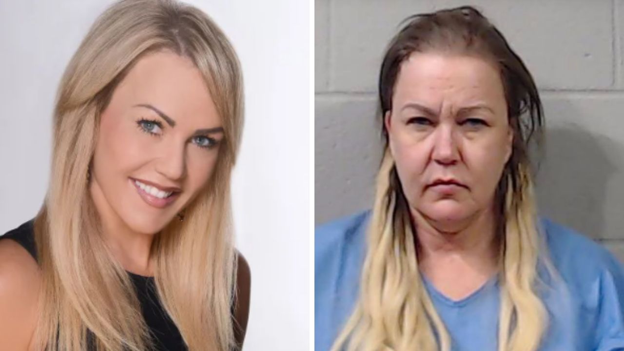 ABD'de evlat dehşeti! Eski muhabir annesini bıçaklayarak öldürdü - Dünya