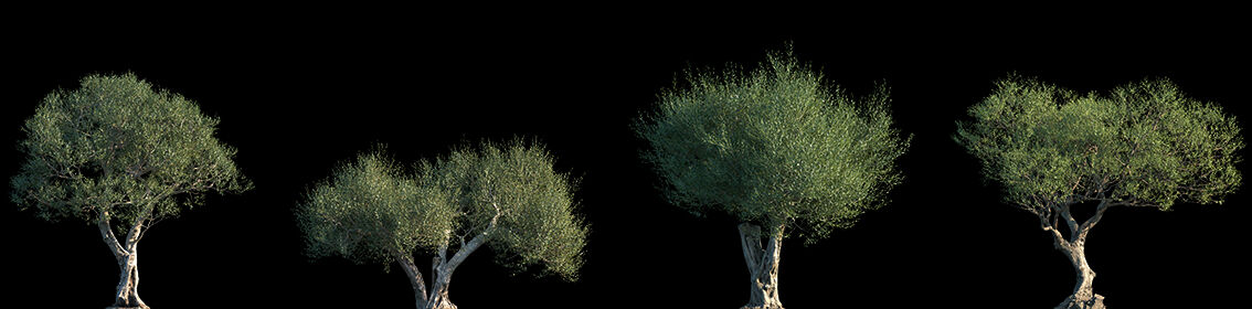 Ayvalık’ta doğup İspanyol oluyor! Dökme zeytinyağımız İspanya markası gibi satıldı - 3. Resim