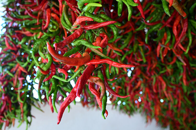 Dil ve mide yanması derdine son! Yemeğin acılığını önceden ölçebilecek yapay dil üretildi - 2. Resim