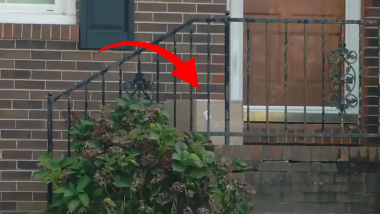  - İlaç bekliyordu, paketten çıkanı görünce hayatının şokunu yaşadı