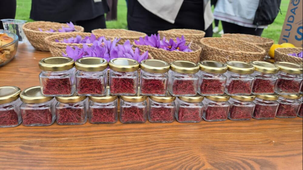 Tekirdağ'da topraktan servet fışkırıyor! 7 dönümden 3 kilo çıkıyor, kilosu 600 bin TL Tekirdağ'da topraktan servet fışkırıyor! 7 dönümden 3 kilo çıkıyor, kilosu 600 bin TL - 6. Resim