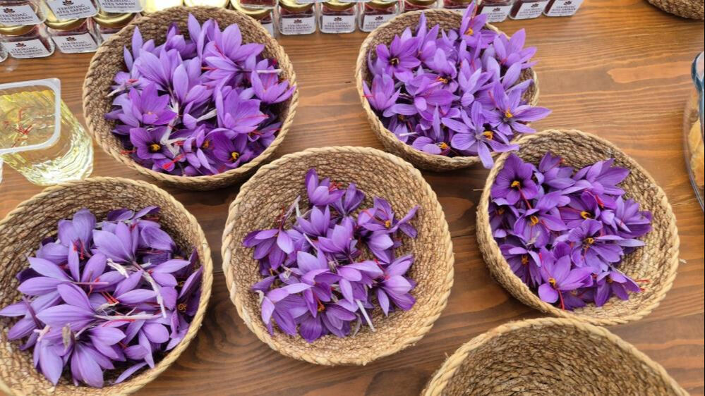 Tekirdağ'da topraktan servet fışkırıyor! 7 dönümden 3 kilo çıkıyor, kilosu 600 bin TL Tekirdağ'da topraktan servet fışkırıyor! 7 dönümden 3 kilo çıkıyor, kilosu 600 bin TL - 7. Resim