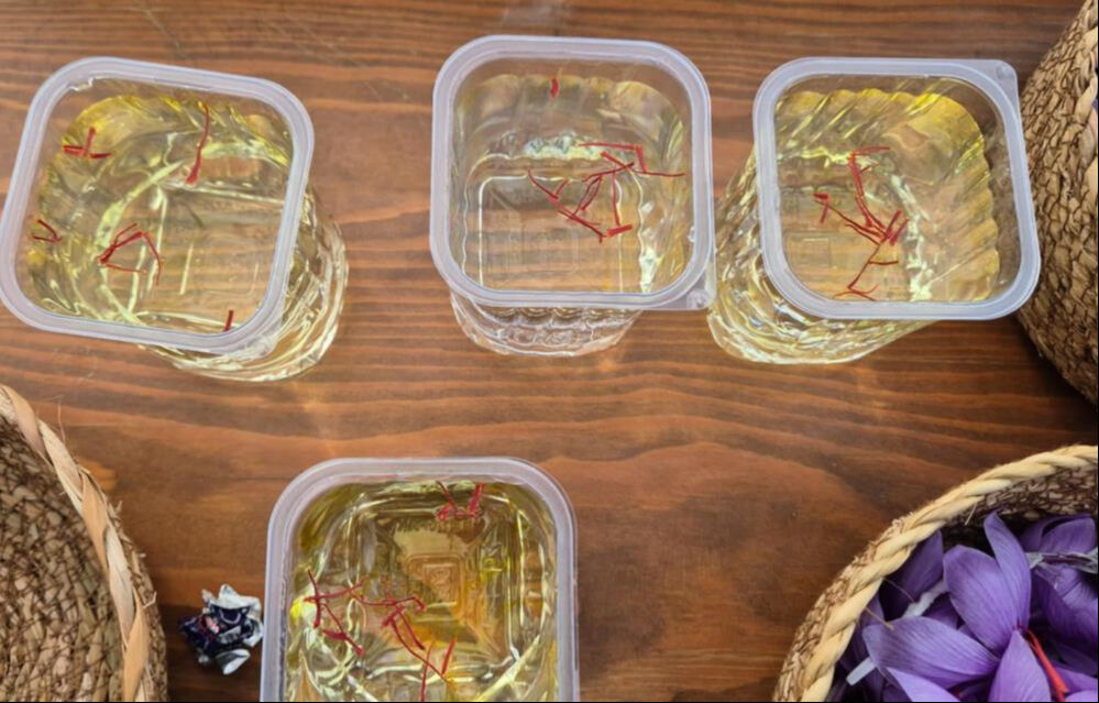 Tekirdağ'da topraktan servet fışkırıyor! 7 dönümden 3 kilo çıkıyor, kilosu 600 bin TL Tekirdağ'da topraktan servet fışkırıyor! 7 dönümden 3 kilo çıkıyor, kilosu 600 bin TL - 5. Resim