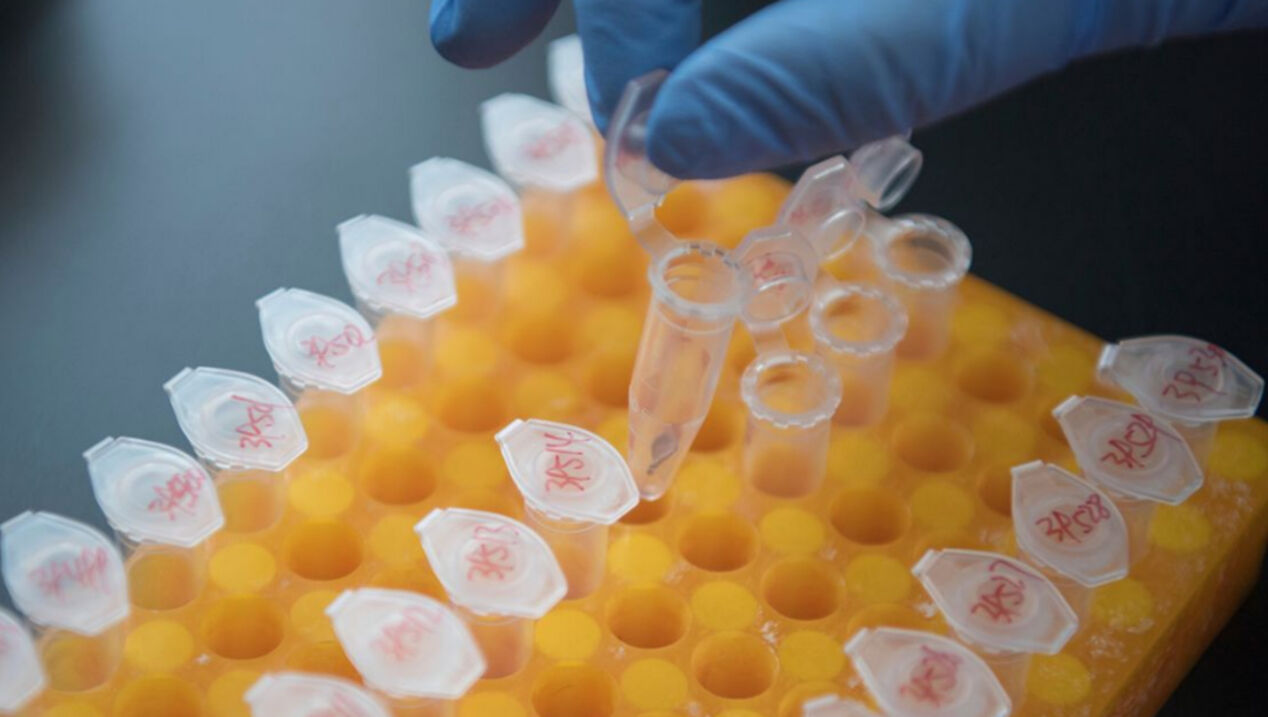 Yabancı ajanlar Çin’in tahıl genetiğini ele geçirdi! Ülke çalkalanıyor - 1. Resim