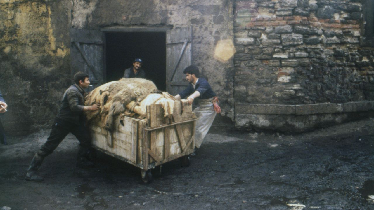 Kültür - Sanat - Kültür - Sanat