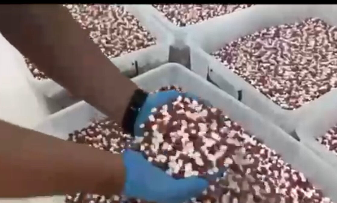 Antalya'da uyuşturucu imalathanesi çökertildi! 1,8 milyon sentetik ecza hap ele geçirildi - 1. Resim