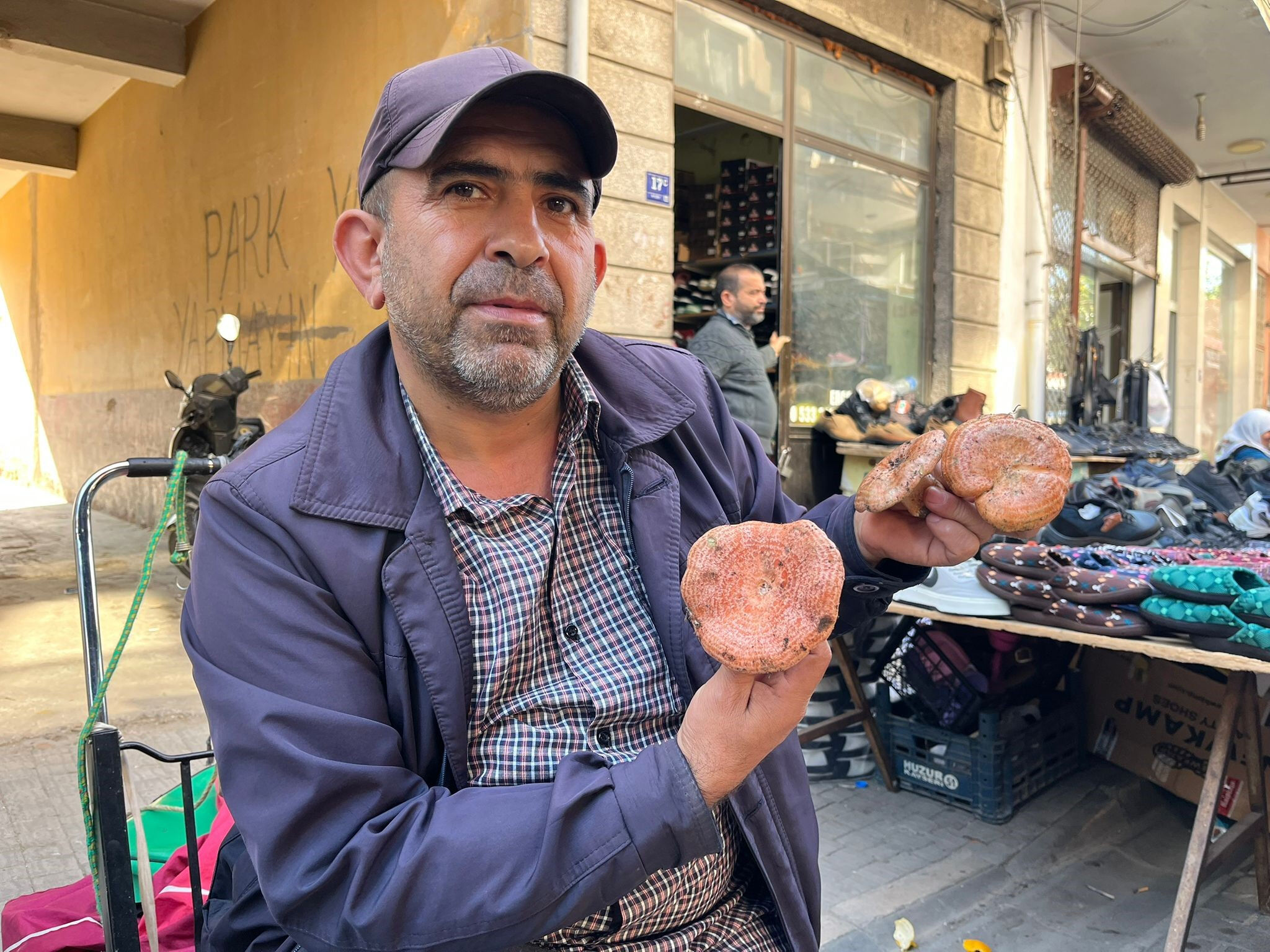 Et kadar değerli! Çıntar tezgahlarda yerini aldı, kilosu 500 lira Et kadar değerli! Çıntar tezgahlarda yerini aldı, kilosu 500 lira - 3. Resim