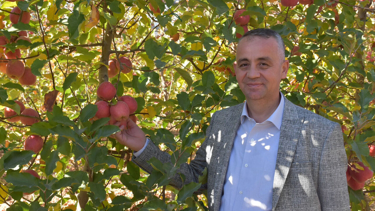 Karaman'dan Kenya'ya... Elmayla 25 ülkeye açıldı, hedef Avrupa pazarı - 1. Resim